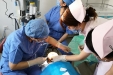 市口腔儿童口腔医学中心端午假期救治牙外伤患儿