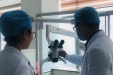 市口腔医院牙体牙髓病科进行口腔显微镜技术培训