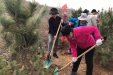 市口腔工会组织参加市卫生计生委植树活动