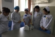 济南市口腔医院特诊科组织学习STA无痛麻醉注射仪