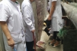 市口腔医技支部开展“我为创卫做贡献”党员义务劳动活动