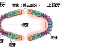 害怕拔智齿？可结果是...