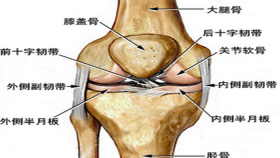 膝关节疼痛的十大原因