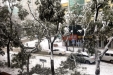 风雪之中显身手，清理路障守安全