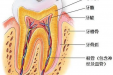 乳牙根管治疗是怎么回事？