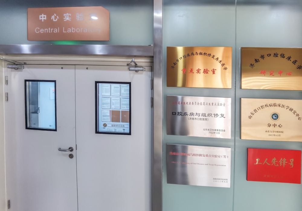 2025年度山东省医药卫生口腔疾病与组织修复重点实验室开放课题申请通知