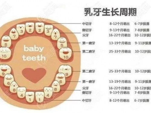 正确看待孩子掉牙晚