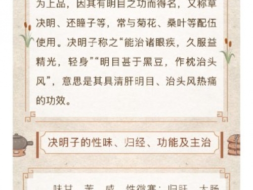 托物言志丨以药喻廉：决明子