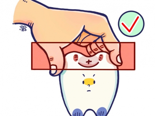 年轻恒牙外伤怎样处理，你知道吗？