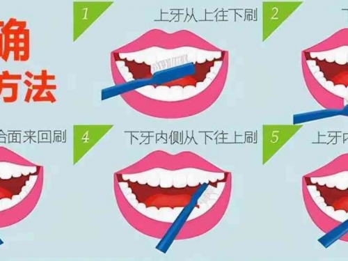 从“乳牙”开始的守护——儿童刷牙习惯养成科普