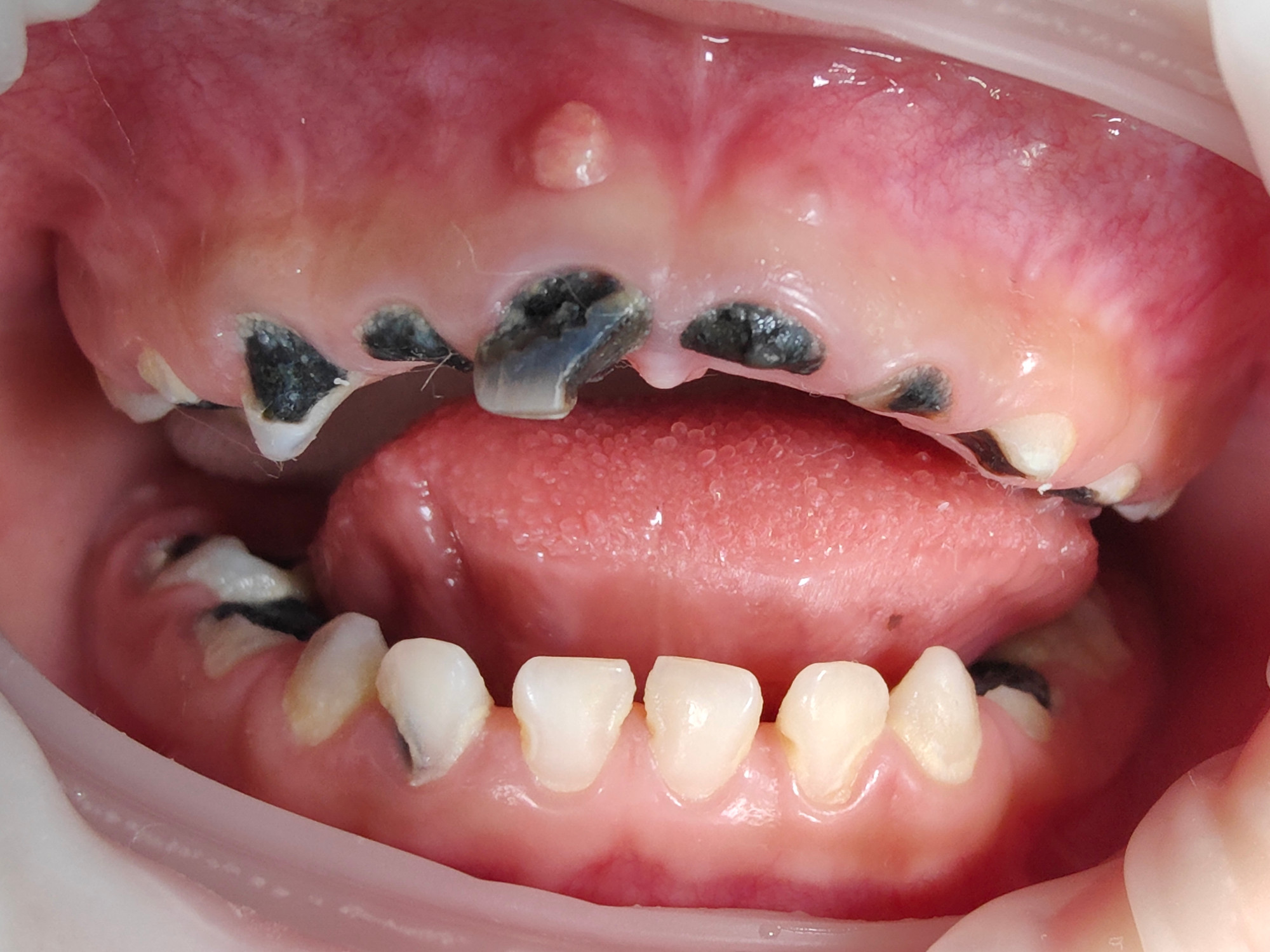 c469b31c_6b2d_4ada_a683_47a661