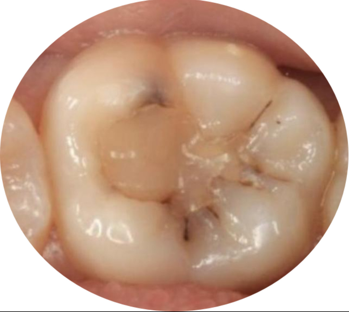 42c767fd_0d3b_472b_b353_eca21e